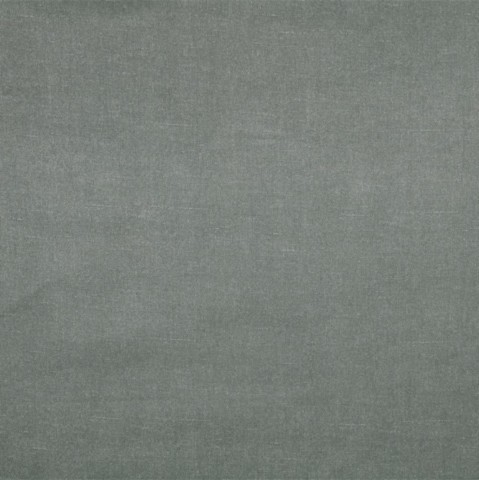 Indre taupe