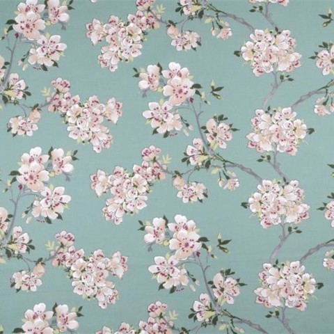 Prunus Prunus
